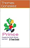 Prince Paquito , The North African Love bird