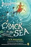 A Crack in the Sea