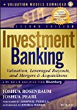 Investment Banking, Enhanced Edition: Valuation, Leveraged Buyouts, and Mergers and Acquisitions + Valuation Models (Wiley Finance)
