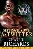 Setting His Owl A-Twitter (Wolves of Stone Ridge Book 33)