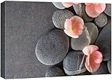 wall26 Canvas Print Wall Art Gray Stones with Pink Daisy Flowers Floral Nature Photography Realism Bohemian Scenic Relax/Calm Cool for Living Room, Bedroom, Office - 16"x24"