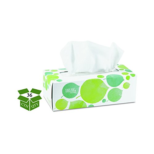 Seventh Generation 13712CT 100% Recycled Facial Tissue, 2-Ply, 175 per Box (Case of 36)