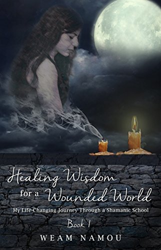 Healing Wisdom for a Wounded World: My Life-Changing Journey Through a Shamanic School (Book 1)