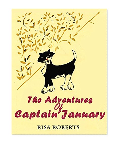 The Adventures  of  Captain January