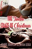 The Twelve Craze of Christmas (Stevshark-Sabine Security Book 1)