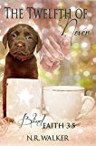 Twelfth of Never (Blind Faith Series 3.5)