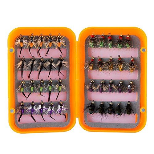Piscifun 40pcs Wet Flies Fly Fishing Lures Bass Salmon Trouts Sinking Flies Assortment with Fly Box Multicolor 10# Hook