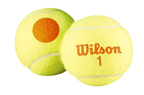Wilson Starter Tennis Balls