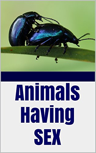 Animals Having Sex: PHOTOS of Wild Reproduction, Mating, Pairing, Procreation, Sexual intercourse ~ by Butterflies, Frogs, Cattle, Dogs, Ladybugs, Beetles, and More!!!
