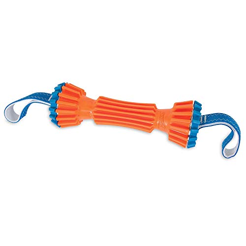 Chuckit! Rugged Bumper Toy