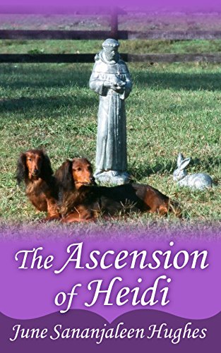 The Ascension of Heidi: a Long-Haired Dachshund, Beloved of Sananjaleen