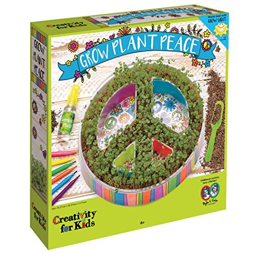 Book Cover Creativity for Kids Plant A Peace Garden Kit - Peace Garden Craft Kit for Kids