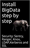 Install BigData step by step: Security: Sentry, Ranger, Knox, LDAP,Kerberos and SSL