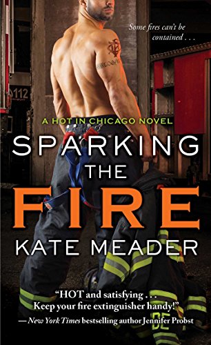 Sparking the Fire (Hot in Chicago Series)