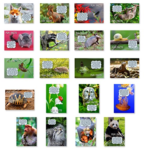 Book Cover Animals Fun Facts Postcard Set of 20 Postcards. Animal and Bird Post Cards Variety Pack. Made in USA.