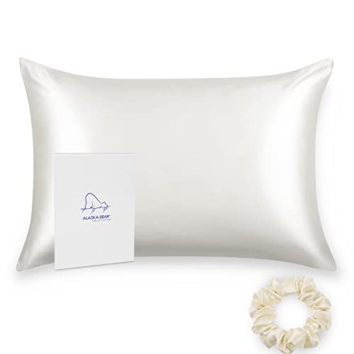 Book Cover ALASKA BEAR Silk Pillowcase for Hair and Skin Beauty Sleep 100 Percent Premium Mulberry Silk Pillow Slip Case King Size with Hidden Zipper (1 Pack, Ivory)