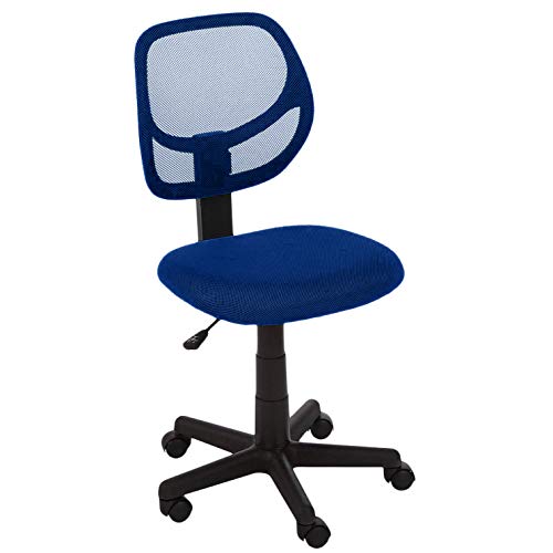 Book Cover AmazonBasics Low-Back Computer Task Office Desk Chair with Swivel Casters - Blue