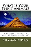 What is Your Spirit Animal?: A Practical Guide to Ancient Mayan Astrology