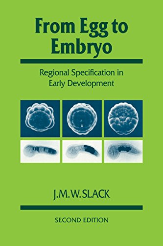 From Egg to Embryo: Regional Specification in Early Development (Developmental and Cell Biology Series)