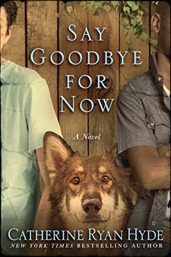 Book Cover Say Goodbye for Now