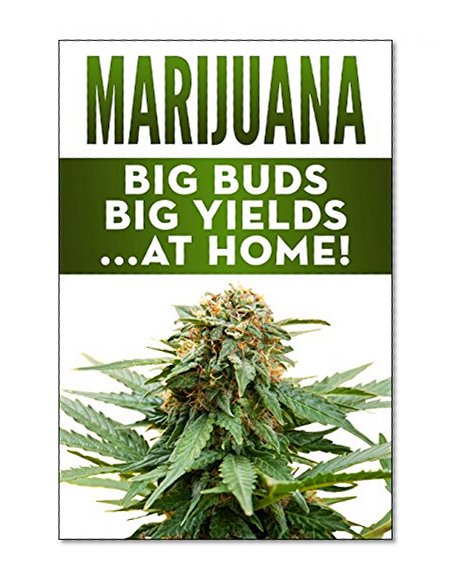 Marijuana: Big Buds, Big Yields...At Home! (How To Grow Your Own Cannabis)