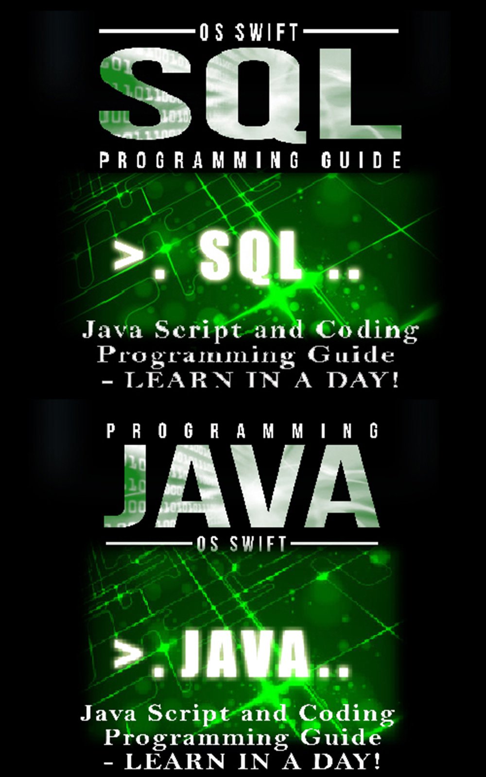 JAVA, JAVA Script and SQL: Programming Guide: Learn In A Day! (Java, Swift, Apps, Programming Language)