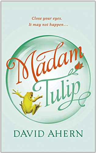 Book Cover Madam Tulip: (An Irish cozy mystery - Book #1)