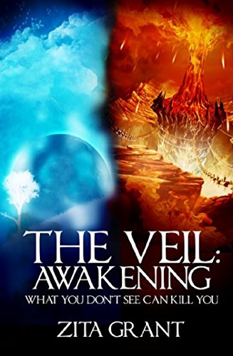 Book Cover The Veil Awakening