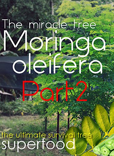 moringa oleifera -The miracle tree -  the ultimate survival tree and superfood - part 2