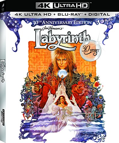 Book Cover Labyrinth (4K Ultra HD + Blu-ray + UltraViolet)