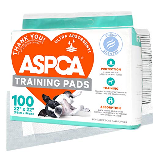 Book Cover ASPCA AS62930 Dog Training Pads, Pack of 100, Gray, 22