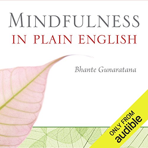 Book Cover Mindfulness in Plain English