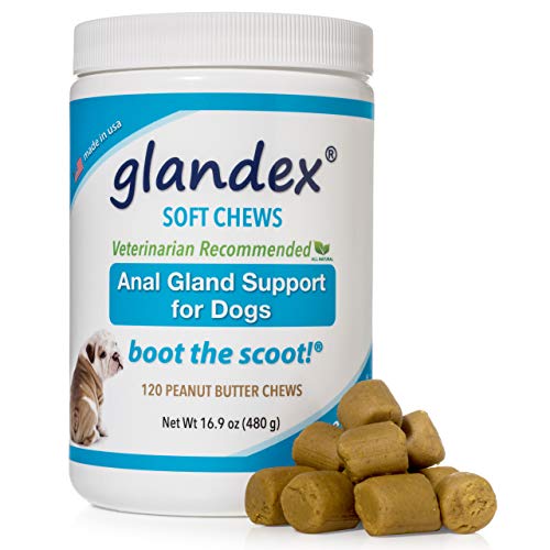 Book Cover Glandex Anal Gland Soft Chew Treats with Pumpkin for Dogs 120ct Peanut Butter Chews with Digestive Enzymes, Probiotics Fiber Supplement for Dogs - Vet Recommended - Boot The Scoot