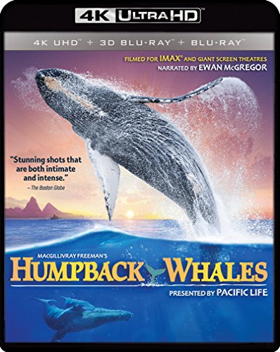 IMAX: Humpback Whales [4K UHD]