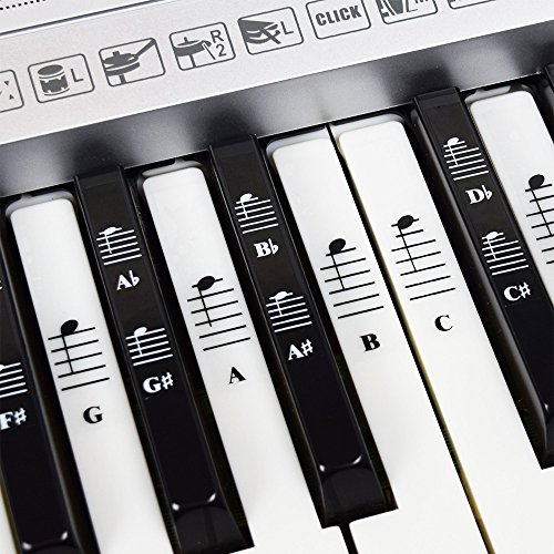 Book Cover Piano and Keyboard Music Note Full Set Stickers for White and Black Keys; Transparent and Removable; Made in USA