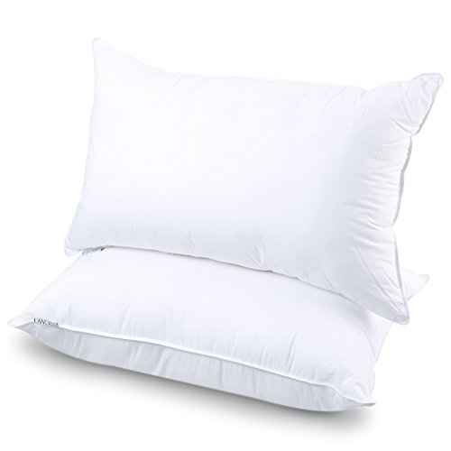 Book Cover LANGRIA Luxury Hotel Collection Bed Pillows Plush Down Alternative Sleeping Pillow Cotton Cover Soft Comfortable For Side Back Stomach Sleeper Queen 20 x 30 (2 Pack)