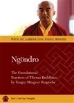 Ngondro: The Foundational Practices, Part 1 - The Four Thoughts MP3 CD (Path of Liberation Video Series) by Yongey Mingyur Rinpoche (2011-05-03)