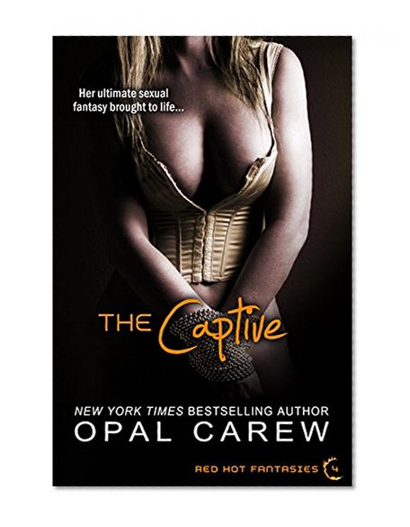 The Captive (Red Hot Fantasies Book 4)