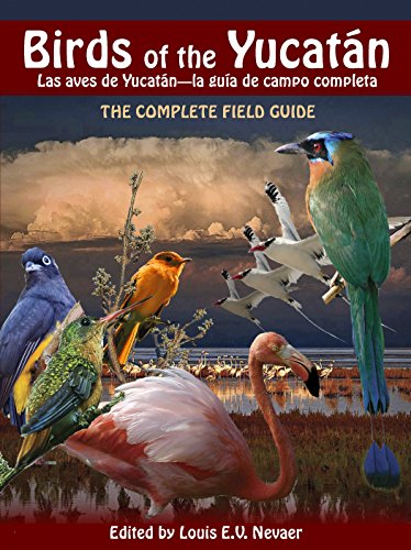 Birds of the Yucatán / Las Aves de Yucatán: The Complete Field Guide / La Guía de Campo Completa