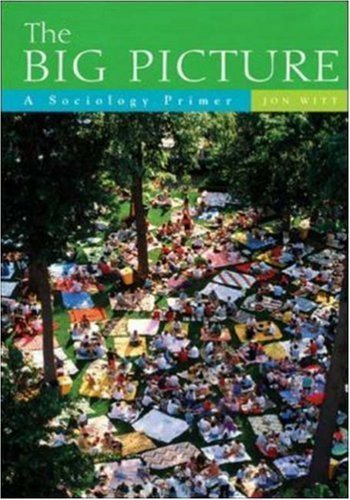 The Big Picture: A Sociology Primer by Jon Witt (2006-07-27)