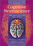 Cognitive Neuroscience: The Biology of the Mind by Michael S. Gazzaniga (2002-01-03)
