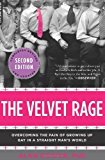 The Velvet Rage: Overcoming the Pain of Growing Up Gay in a Straight Man's World, Second Edition by Alan Downs (2012-06-05)