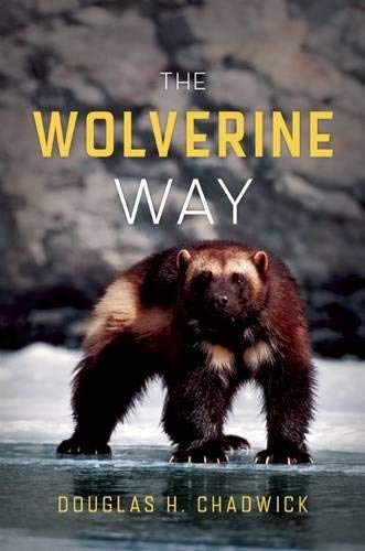 Book Cover The Wolverine Way by Douglas H. Chadwick (2012-02-03)
