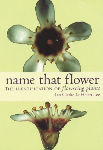 Name That Flower: Identification of Flowering Plants by Ian Clarke (2004-02-01)