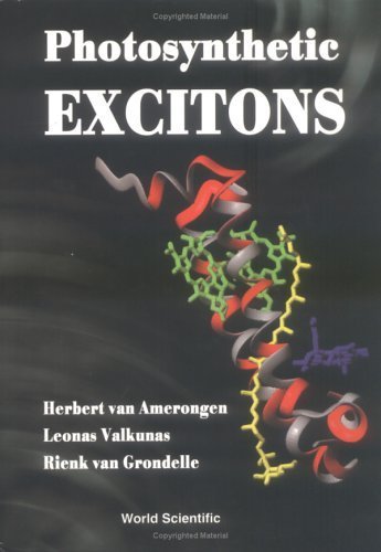 Photosynthetic Excitons by Herbert Van Amerongen (2000-06-04)