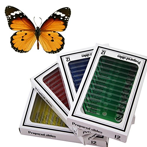 WhizKidsLab Lot DE 48 Lames de Microscope Préparées en Plastique Animaux Insectes Plantes Fleurs + 1 Véritable Spécimen de Papillon Jouet Educatif Scientifique Enfants Etudiants