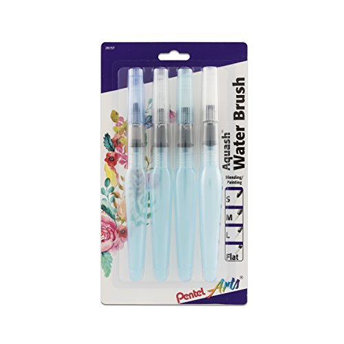 Book Cover Pentel Arts Aquash Water Brush Assorted Tips, 4 Pack Carded (FRHBP4M), White, Small