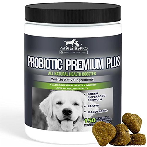 Book Cover PetVitalityPRO Probiotics for Dogs with Natural Digestive Enzymes â— 4 Bill CFUs/2 Soft Chews â— Dog Diarrhea Upset Stomach Yeast Gas Bad Breath Immunity Allergies Skin Itching Hot Spots â— 150 Count