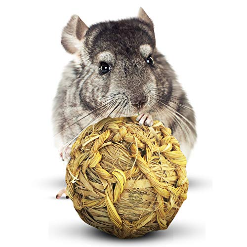 SunGrow Natural Seagrass Ball - Perfect & Safe Chewable Teething Toy for Rabbits, Cats, Hamsters, Gerbils & Birds : Healthy for Your Pet’s Gums & Teeth