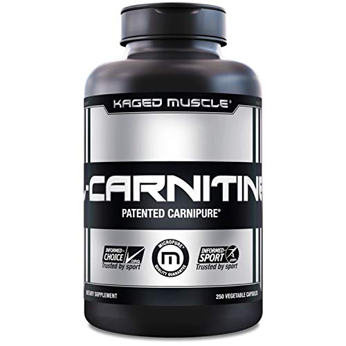 Kaged Muscle, Premium L-Carnitine 500 mg, Stimulant Free for Men & Women, Supports Recovery and reduction of post-workout markers of muscle stress and soreness, Carnitine, 250 Veggie Capsules
